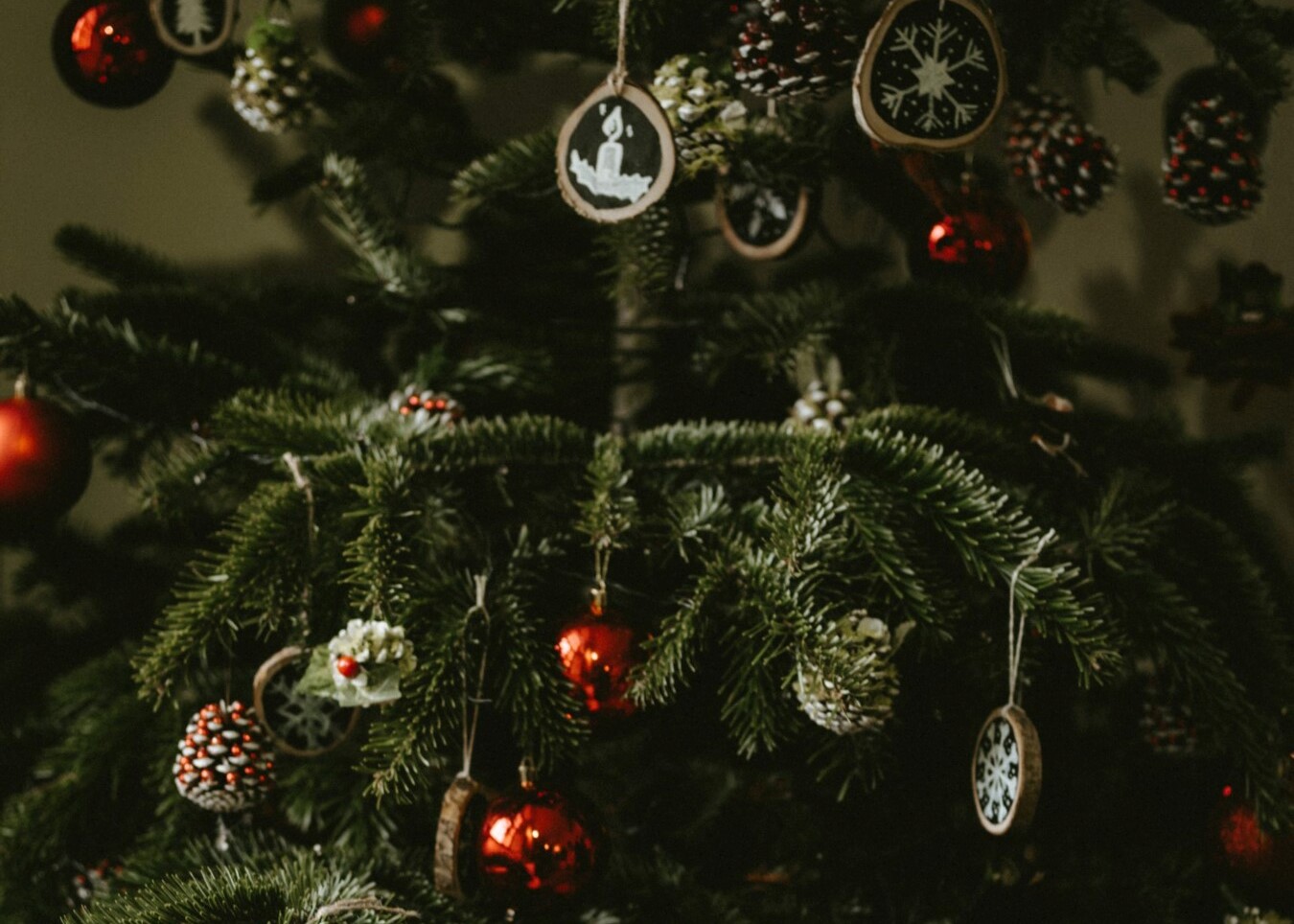 Tree-scaled-1